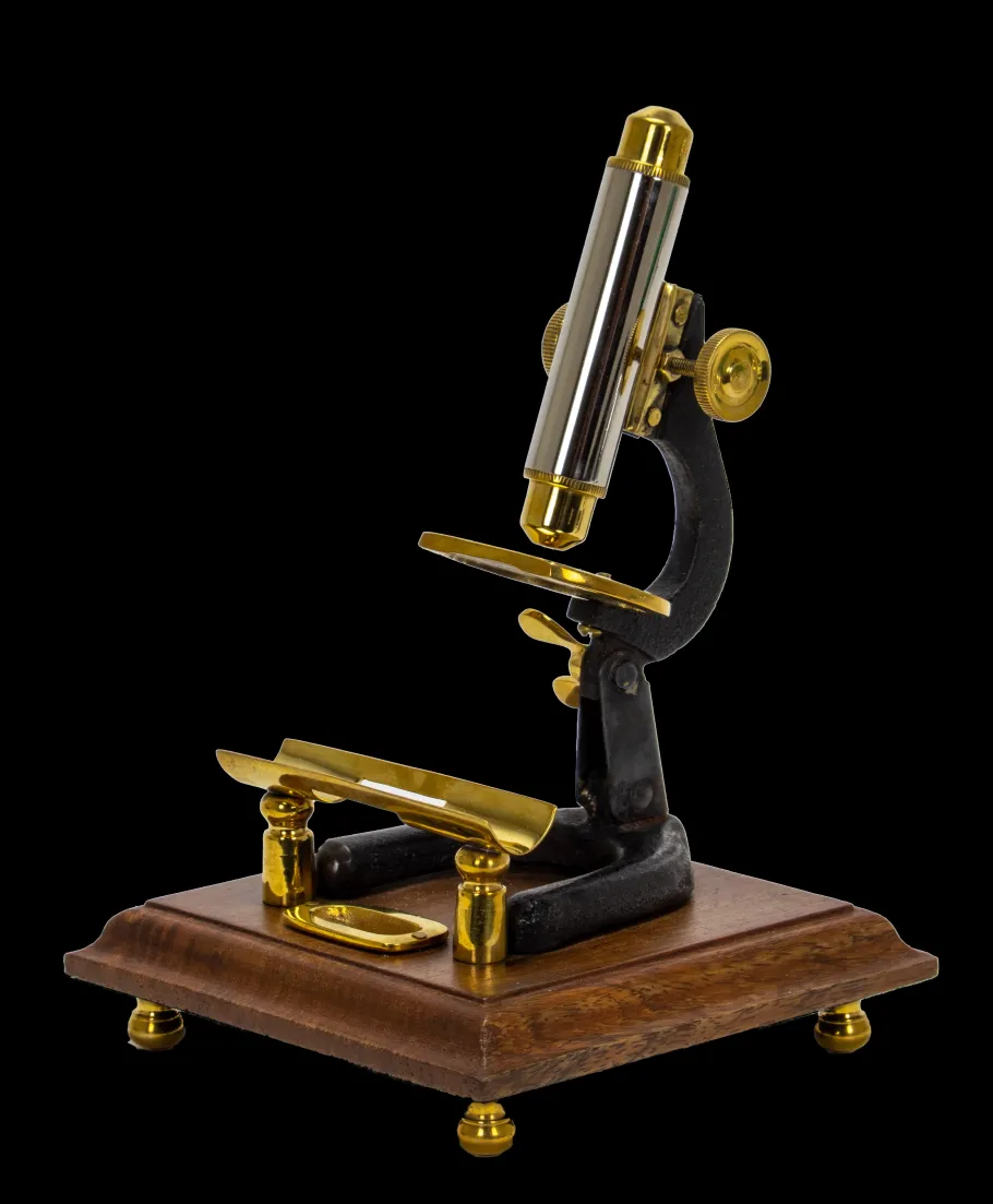 Pendulux Decor|Microscope Stand